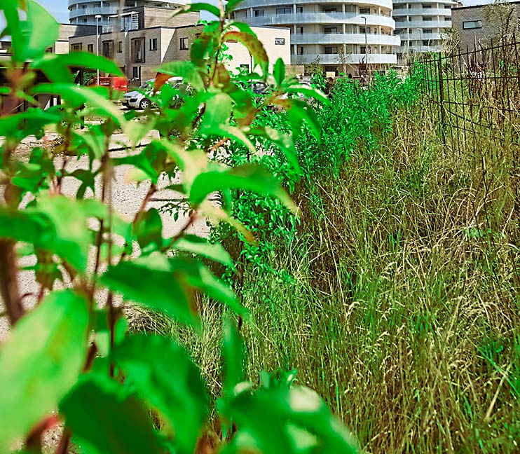 Istårnet Havnevigen boligbyggeri
