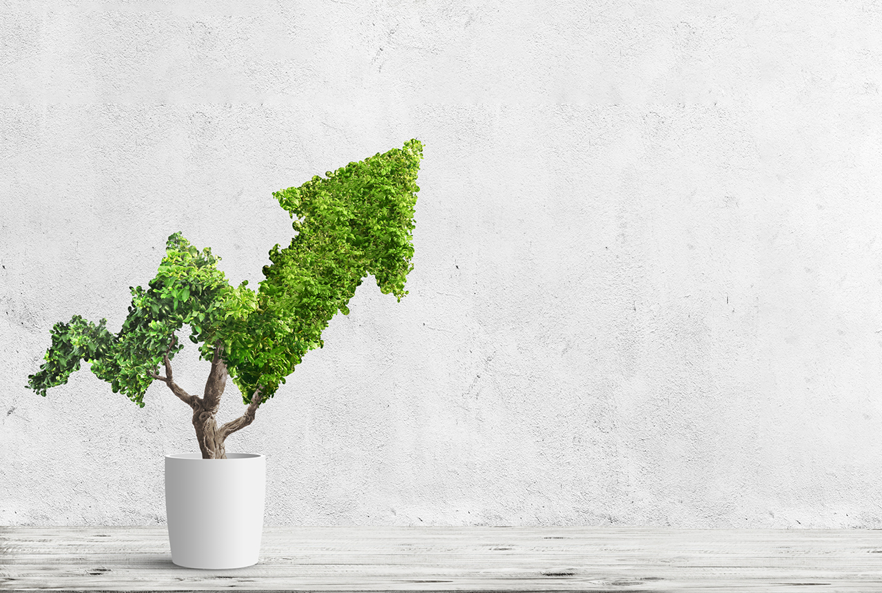 Betonpioner med grøn samvittighed 